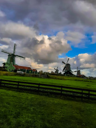 Фото з туру Вільний  Амстердам, 08 жовтня 2021 від туриста Iryna