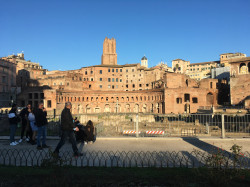 Фото з туру Зустрічай мене, Італіє! Верона, Рим, Флоренція і Венеція!, 14 листопада 2021 від туриста OlNor