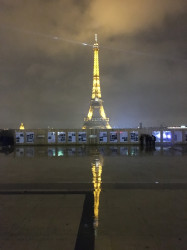 Фото из тура В плену Парижа + Эльзас+ Швейцария, 25 ноября 2021 от туриста Анжик