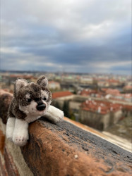Фото из тура Три счастливых дня Краков, Прага + Дрезден, 18 декабря 2021 от туриста Кос