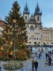 Фото з туру Різдвяні Ярмарки Німеччини: Дрезден, Бамберг, Нюрнберг та Мюнхен!, 10 грудня 2021 від туриста Людмила