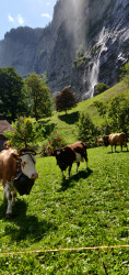 Фото з туру В повному шоколаді... або 2 дні в Швейцарії!, 03 вересня 2022 від туриста Nata