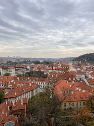 Фото из тура Три счастливых дня Краков, Прага + Дрезден, 20 октября 2022 от туриста Іра