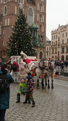 Фото из тура Рождественские Ярмарки Германии: Дрезден, Бамберг, Нюрнберг и Мюнхен!, 10 декабря 2022 от туриста Анна К