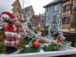 Фото з туру В повному шоколаді... або 2 дні в Швейцарії!, 22 грудня 2022 від туриста Алина