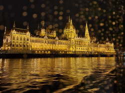 Фото з туру Вікенд у Будапешт! + Відень!, 09 березня 2023 від туриста valentain 