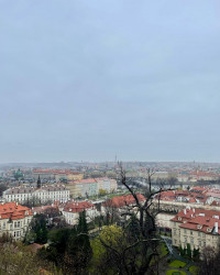 Фото из тура Душевный Уикенд Краков, Прага, Вена, Будапешт + Эгер, 28 марта 2023 от туриста vic_to_ria