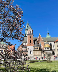 Фото з туру Душевний Вікенд  Краків, Прага, Відень, Будапешт + Егер, 28 березня 2023 від туриста vic_to_ria