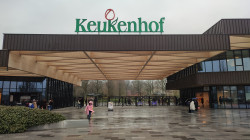 Фото з туру Зустрінемось в Амстердамі + парк "Кекенхоф" і парк розваг Ефтелінг!!!, 03 квітня 2023 від туриста Victoria 