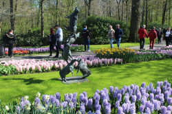 Фото з туру Зустрінемось в Амстердамі + парк "Кекенхоф" і парк розваг Ефтелінг!!!, 11 квітня 2023 від туриста Piven