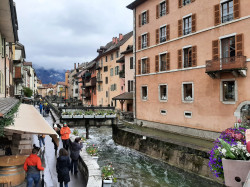 Фото из тура В гостях у Швейцарии  Цюрих, Женева, Берн + Монблан, 11 апреля 2023 от туриста IrIva