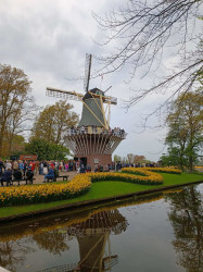 Фото з туру Зустрінемось в Амстердамі + парк "Кекенхоф" і парк розваг Ефтелінг!!!, 28 квітня 2023 від туриста Наталя