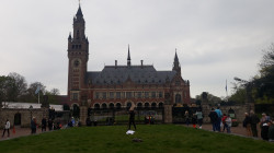 Фото из тура Встретимся в Амстердаме + парк "Кекенхоф" и парк Эфтелинг!!!, 28 апреля 2023 от туриста Іgruk