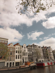 Фото з туру Вітаю, милий Амстердам!, 30 квітня 2023 від туриста annastasiukk