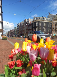 Фото из тура Амурная неделька в Амстердаме и Париже!!!, 23 апреля 2023 от туриста Лілу