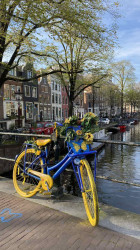 Фото из тура Встретимся в Амстердаме + парк "Кекенхоф" и парк Эфтелинг!!!, 27 апреля 2023 от туриста АР