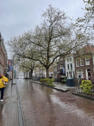 Фото з туру Амстердам… Forever , 25 квітня 2023 від туриста Анна ионичева