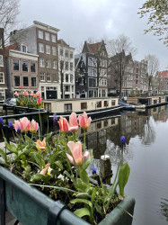 Фото з туру Амстердам… Forever , 25 квітня 2023 від туриста Алла