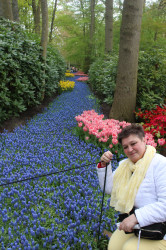 Фото з туру Зустрінемось в Амстердамі + парк "Кекенхоф" і парк розваг Ефтелінг!!!, 28 квітня 2023 від туриста Тетяна
