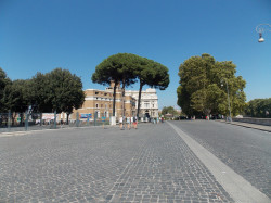 Фото из тура Чао, Италия! 2 дня в Риме + Флоренция и Венеция!, 30 апреля 2023 от туриста Странник