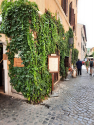 Фото из тура Сто причин любить Италию, и первая – Рим! Флоренция + Венеция!, 17 июня 2023 от туриста Олена