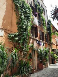 Фото з туру Сто причин любити Італію, і перша - Рим! Флоренція + Венеція!, 17 червня 2023 від туриста Олена