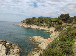Фото из тура Курортный Роман  Отдых на море Испании Швейцария + Испания + Франция, 10 июня 2023 от туриста vitallina 