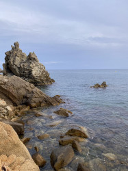 Фото з туру Літня відпустка під іспанськими вітрилами Відпочинок на морі, 30 червня 2023 від туриста Yulia