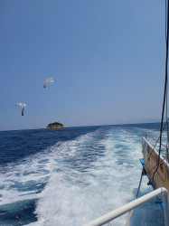 Фото из тура Сладкие прикосновения моря… Греция! Отдых на Эгейском море!, 06 июля 2023 от туриста Татьяна 