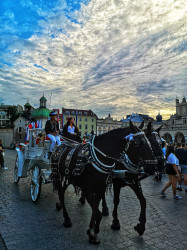 Фото з туру Душевний Вікенд  Краків, Прага, Відень, Будапешт + Егер, 04 серпня 2023 від туриста ОляЛя