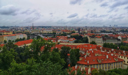 Фото из тура Душевный Уикенд Краков, Прага, Вена, Будапешт + Эгер, 04 августа 2023 от туриста ОляЛя