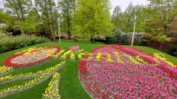 Фото з туру Королівські промінчики - БеНіЛюкс: Нідерланди + Бельгія + Люксембург!!!, 28 травня 2023 від туриста Sveta 