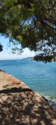 Фото из тура Сладкие прикосновения моря… Греция! Отдых на Эгейском море!, 10 августа 2023 от туриста Герба