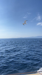 Фото из тура Море соблазна… Греция! Отдых на Эгейском море, 14 сентября 2023 от туриста Lika 
