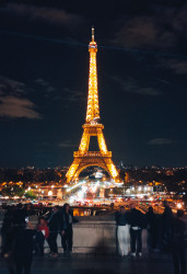 Фото из тура Французский реверанс  Париж, Нормандия, Замки Луары, 20 сентября 2023 от туриста FreeBird