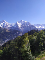 Фото из тура Отдых на высоте - Швейцария!!! Цюрих, Берн, Люцерн+ остров Майнау, 23 сентября 2023 от туриста Helen