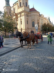 Фото з туру Святкова Прага!!! Виїзд з Києва, 23 вересня 2023 від туриста Zhanna