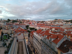 Фото из тура Клубника с Портвейном... Португалия, 10 сентября 2023 от туриста Лиза