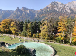 Фото из тура Вдохновляющий уикенд в Трансильвании... (по мотивам сериала Wednesday), 19 октября 2023 от туриста Iryna_B