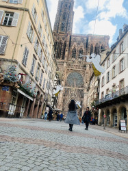 Фото з туру Закохані в Париж + Страсбург..., 21 листопада 2023 від туриста Зина