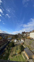 Фото из тура В полном шоколаде... или 2 дня в Швейцарии!, 21 ноября 2023 от туриста Svitlana