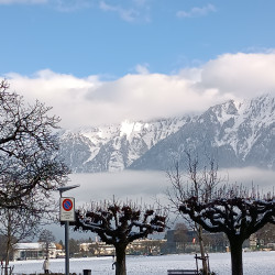 Фото из тура Швейцарская интрига  Австрия, Италия и Доломитовы Альпы, 02 декабря 2023 от туриста Леся