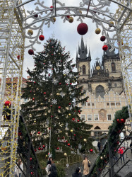 Фото из тура Веселая ярмарка Рождественская Германия и Франция. Дрезден, Мейсен, Нюрнберг, Бамберг, Страсбург, Кольмар, Прага, 09 декабря 2023 от туриста Валерія 