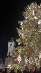 Фото з туру Душевний Вікенд  Краків, Прага, Відень, Будапешт + Егер, 15 грудня 2023 від туриста Romenskaya Karina