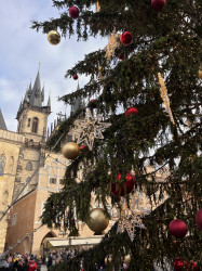 Фото из тура Душевный Уикенд Краков, Прага, Вена, Будапешт + Эгер, 15 декабря 2023 от туриста Romenskaya Karina