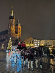 Фото из тура Приятный уикенд  Прага + Дрезден, 14 декабря 2023 от туриста Mariia Gavryliuk