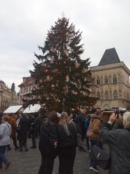 Фото из тура Пражское дежавю  Прага и Вена, 15 декабря 2023 от туриста Оксана