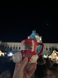 Фото з туру Любовне зізнання: Відень + Прага!, 15 грудня 2023 від туриста Roksolana 