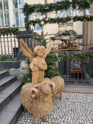 Фото з туру Різдвяні Ярмарки Німеччини: Дрезден, Бамберг, Нюрнберг та Мюнхен!, 15 грудня 2023 від туриста Nadin