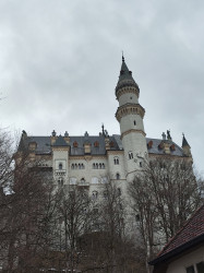 Фото з туру Казки Баварського короля, 17 грудня 2023 від туриста mari.ri15